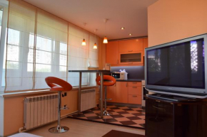 Studio Apartment Kolomenskoye Park